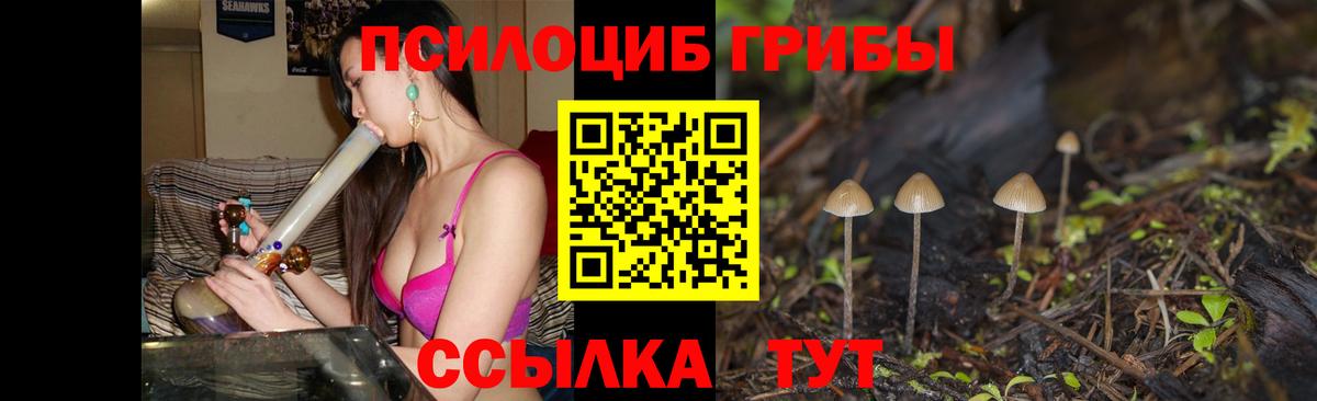 Галлюциногенные грибы Cubensis  Вход с VPN  Псилоцибиновые грибы GOLDEN TEACHER  Пугачёв 